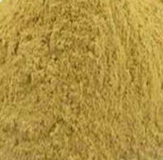 MISTLETOE HERB POWDER